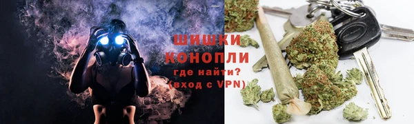 мдпв Горнозаводск