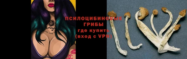 мдпв Горнозаводск