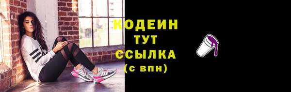 мдпв Горнозаводск