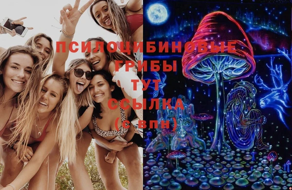 дурь Горняк