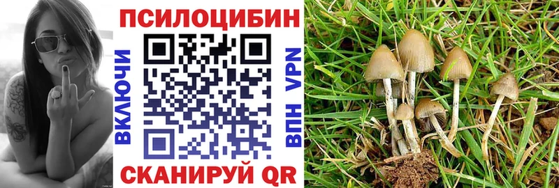 где купить наркотик  Данков  Псилоцибиновые грибы Psilocybe 